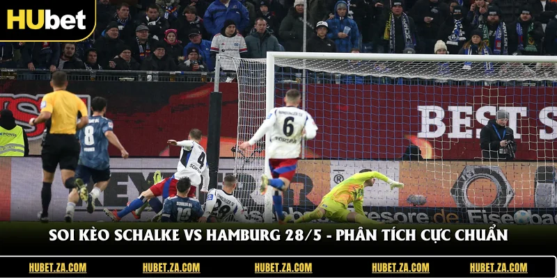 Soi Kèo Schalke Vs Hamburg 28/5 - Phân Tích Cực Chuẩn